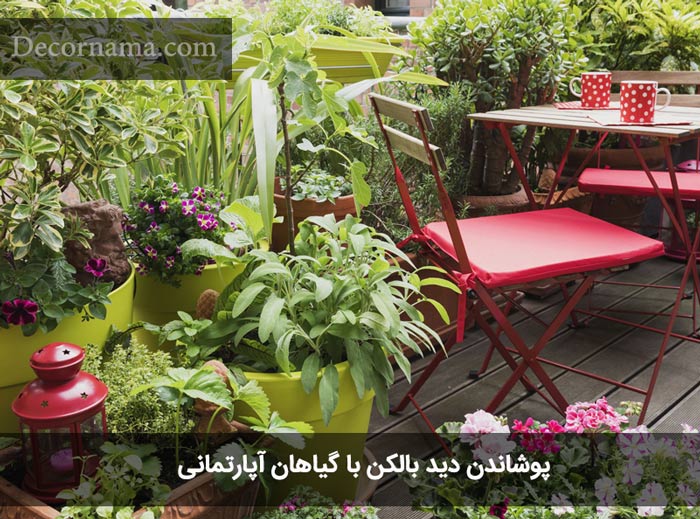 پوشاندن دید بالکن با گیاهان آپارتمانی 