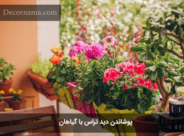 پوشاندن بالکن با گیاه